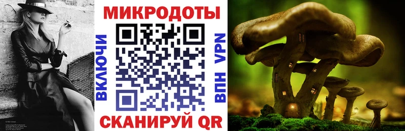 где купить   Рыбное  Галлюциногенные грибы прущие грибы 
